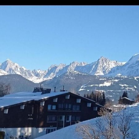 Studio Porte Du Mont Blanc Combloux Aux Pieds Des Pistes Exterior photo