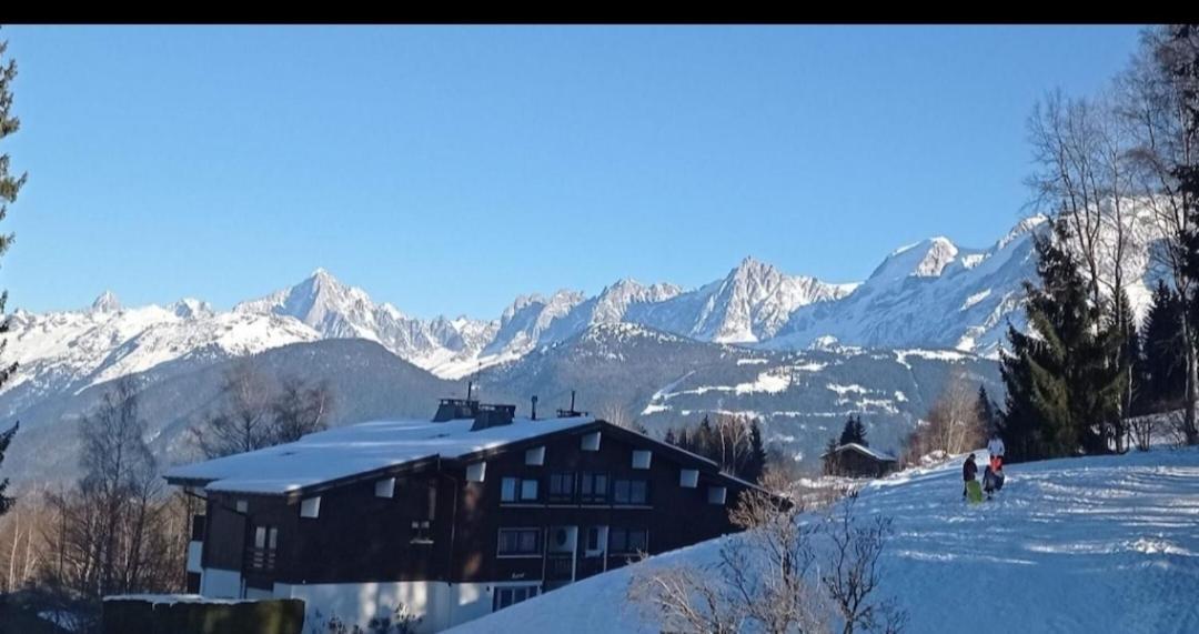 Studio Porte Du Mont Blanc Combloux Aux Pieds Des Pistes Exterior photo